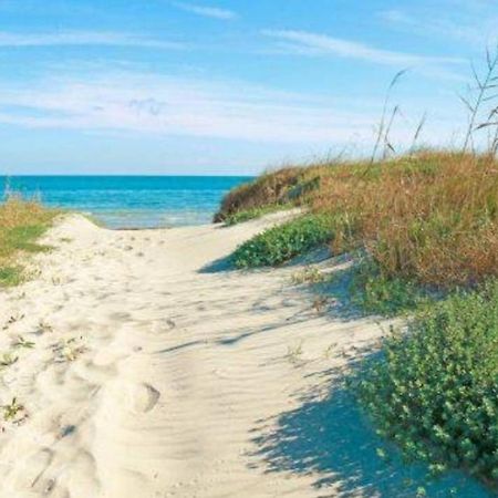 House On The Beach Apartment Calambrone Bagian luar foto